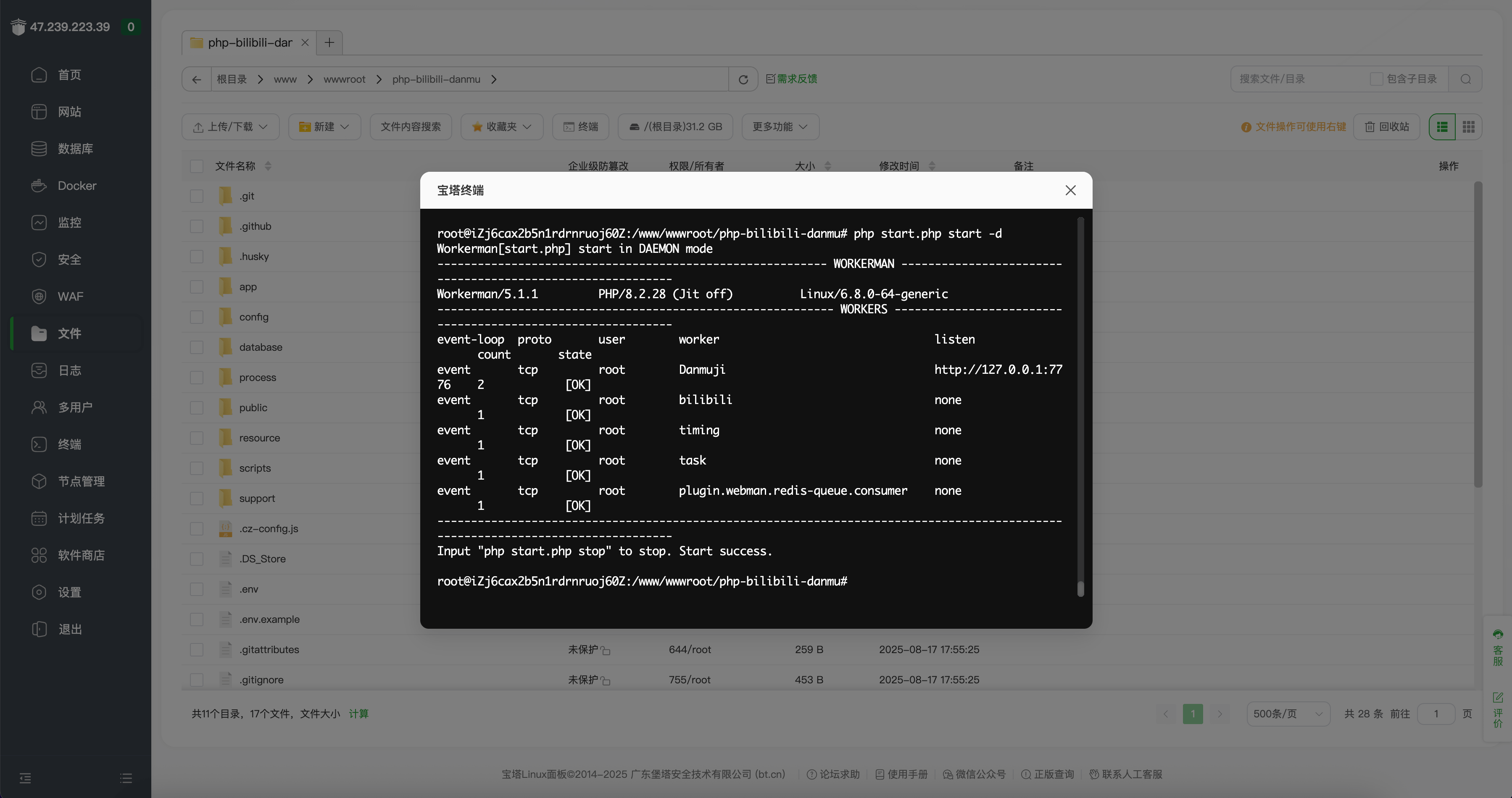 项目启动后的样子
